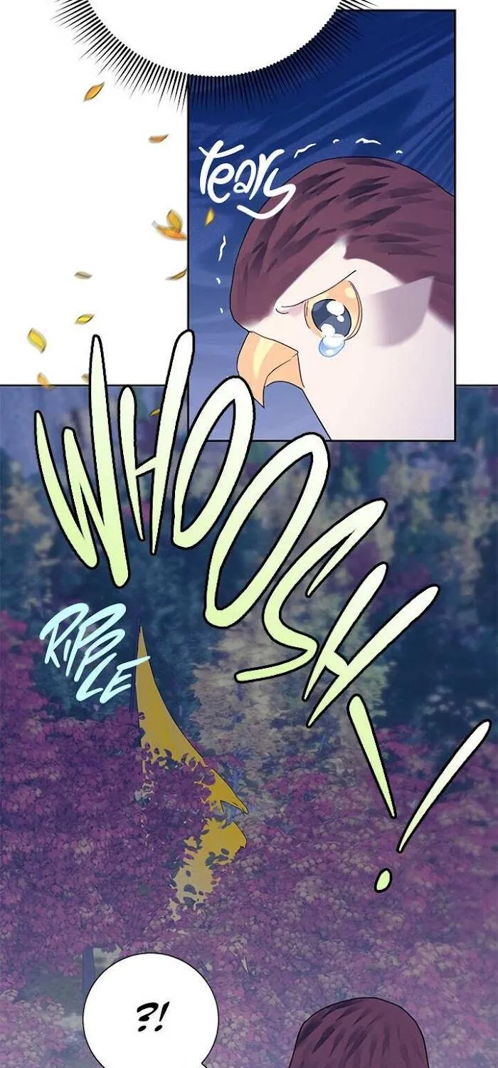 CARRIER FALCON PRINCESS Chapter 37 page 60 - 