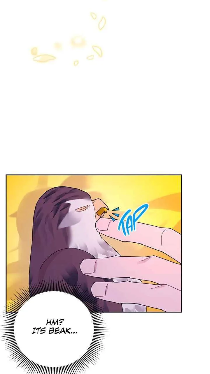CARRIER FALCON PRINCESS Chapter 38 page 60 - 
