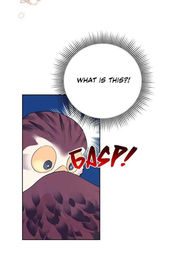 CARRIER FALCON PRINCESS Chapter 39 page 18 - 