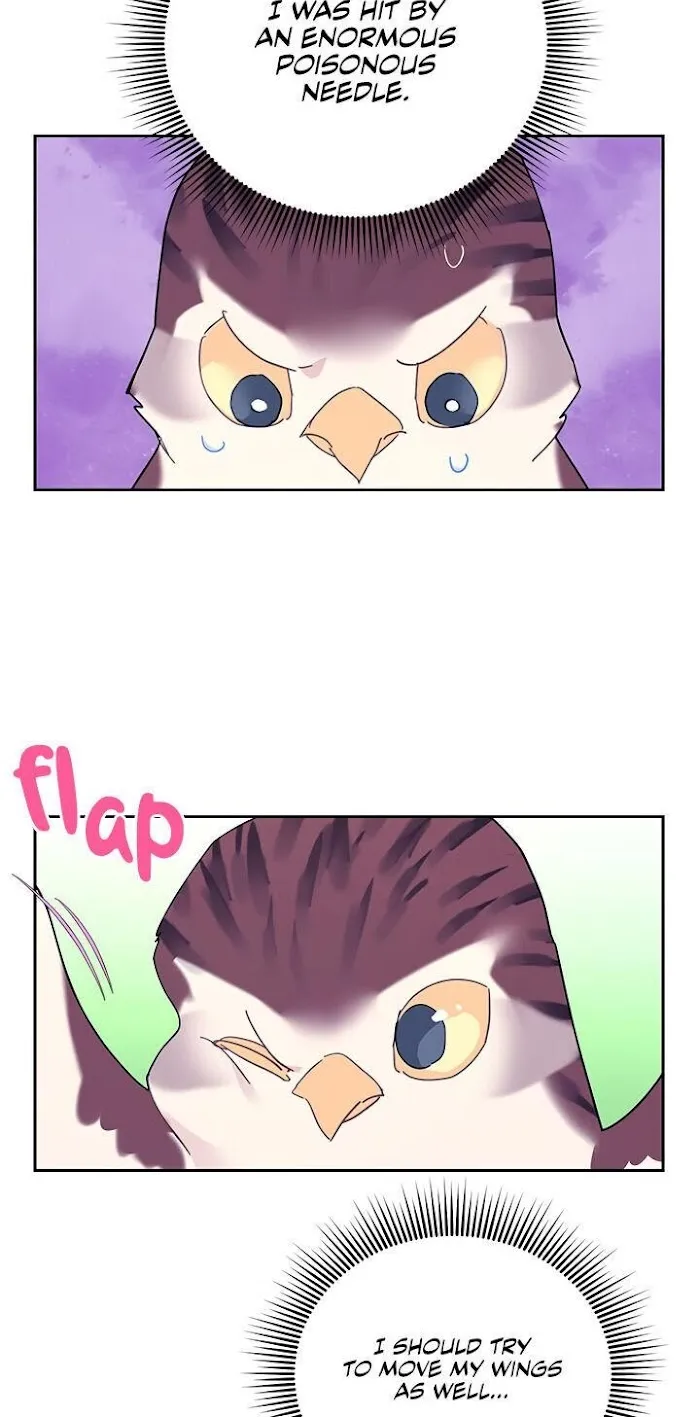 CARRIER FALCON PRINCESS Chapter 39 page 20 - 