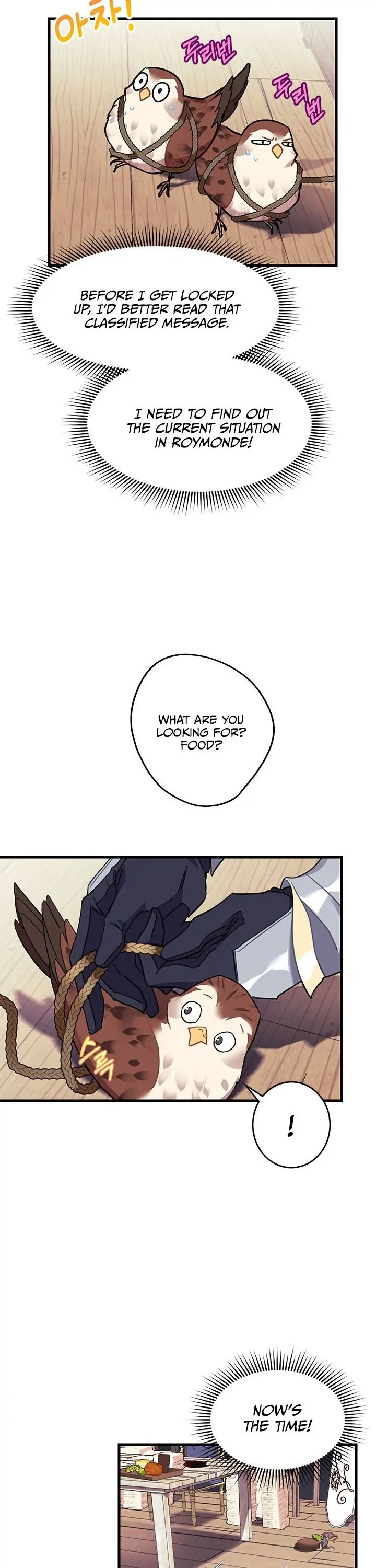 CARRIER FALCON PRINCESS Chapter 4.1 page 25 - 