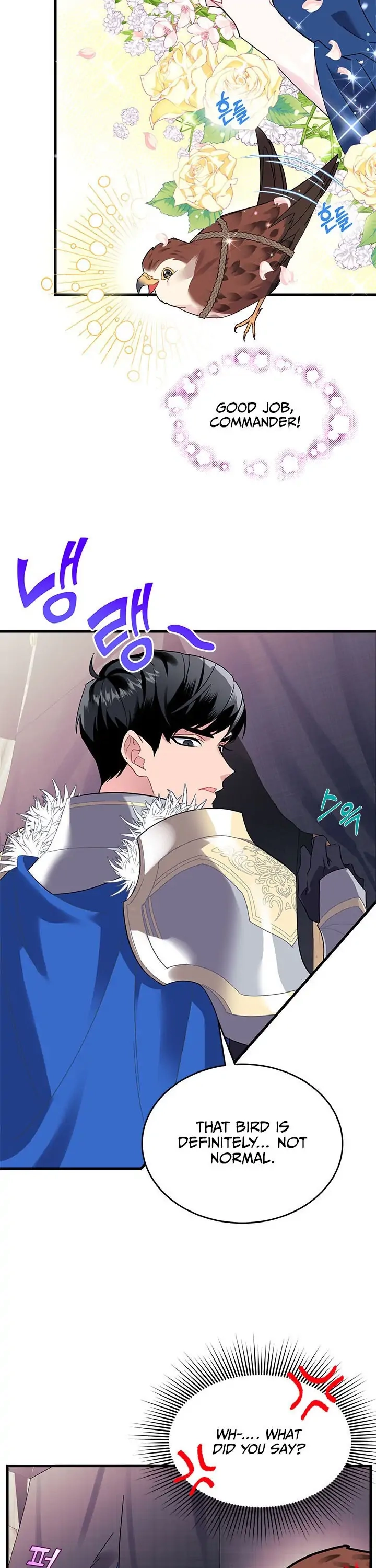CARRIER FALCON PRINCESS Chapter 4.1 page 7 - 