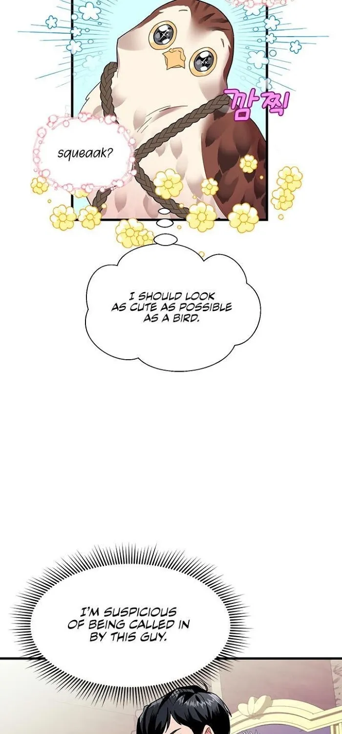 CARRIER FALCON PRINCESS Chapter 4 page 43 - 