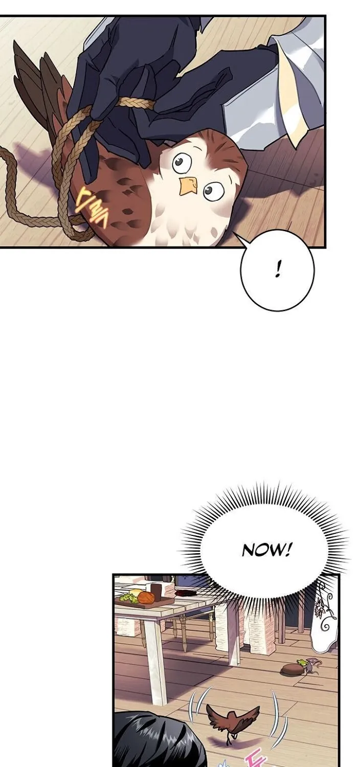 CARRIER FALCON PRINCESS Chapter 4 page 64 - 