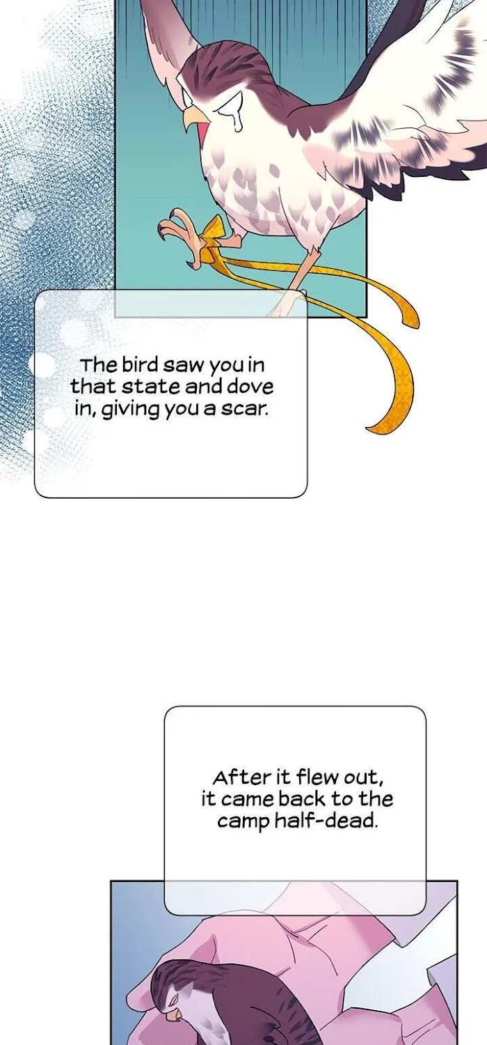 CARRIER FALCON PRINCESS Chapter 40 page 17 - 