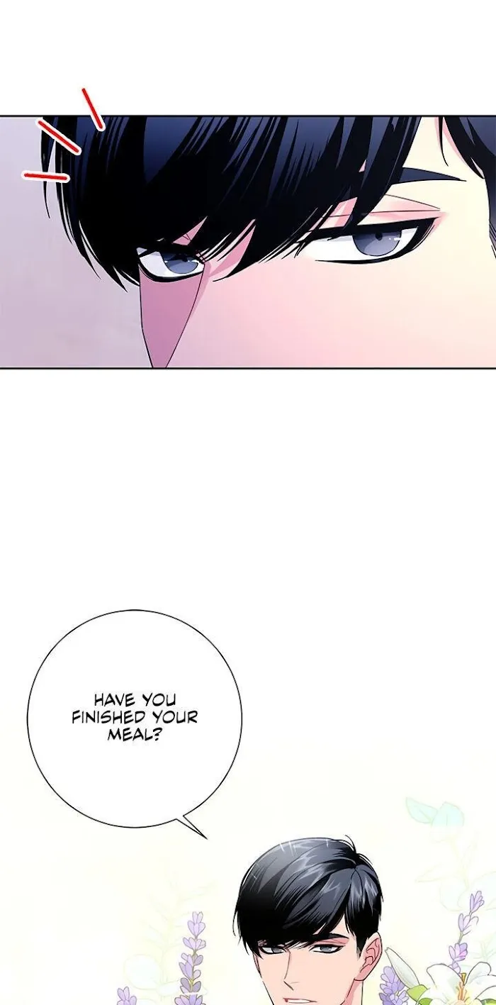 CARRIER FALCON PRINCESS Chapter 41 page 33 - 