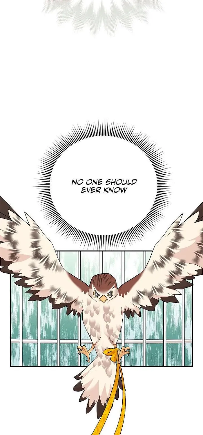 CARRIER FALCON PRINCESS Chapter 42 page 33 - 
