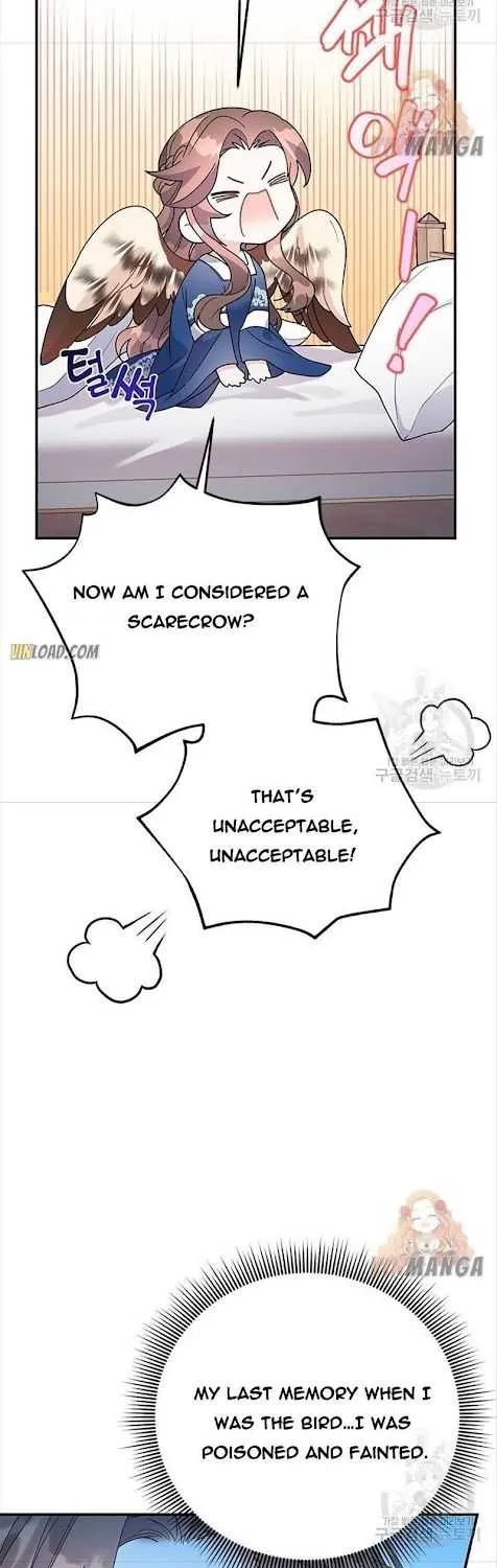 CARRIER FALCON PRINCESS Chapter 44 page 5 - 