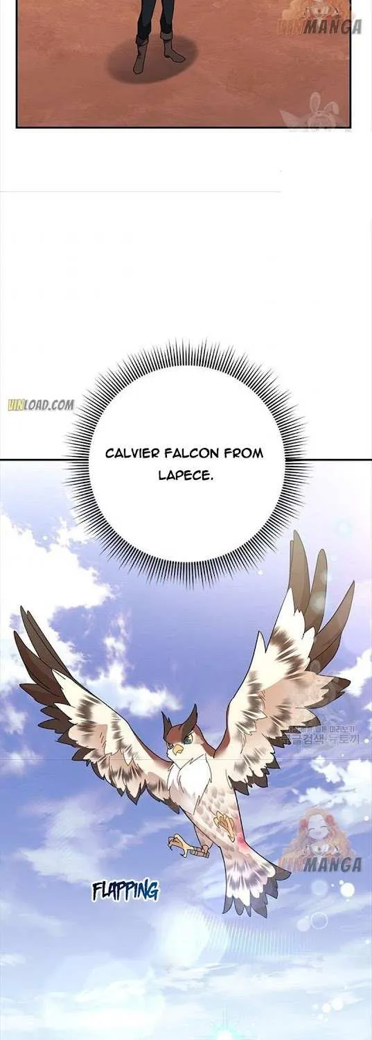 CARRIER FALCON PRINCESS Chapter 44 page 47 - 