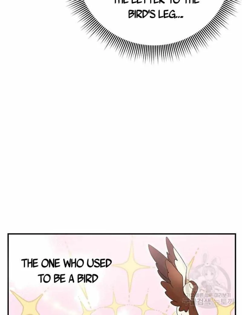 CARRIER FALCON PRINCESS Chapter 45 page 14 - 