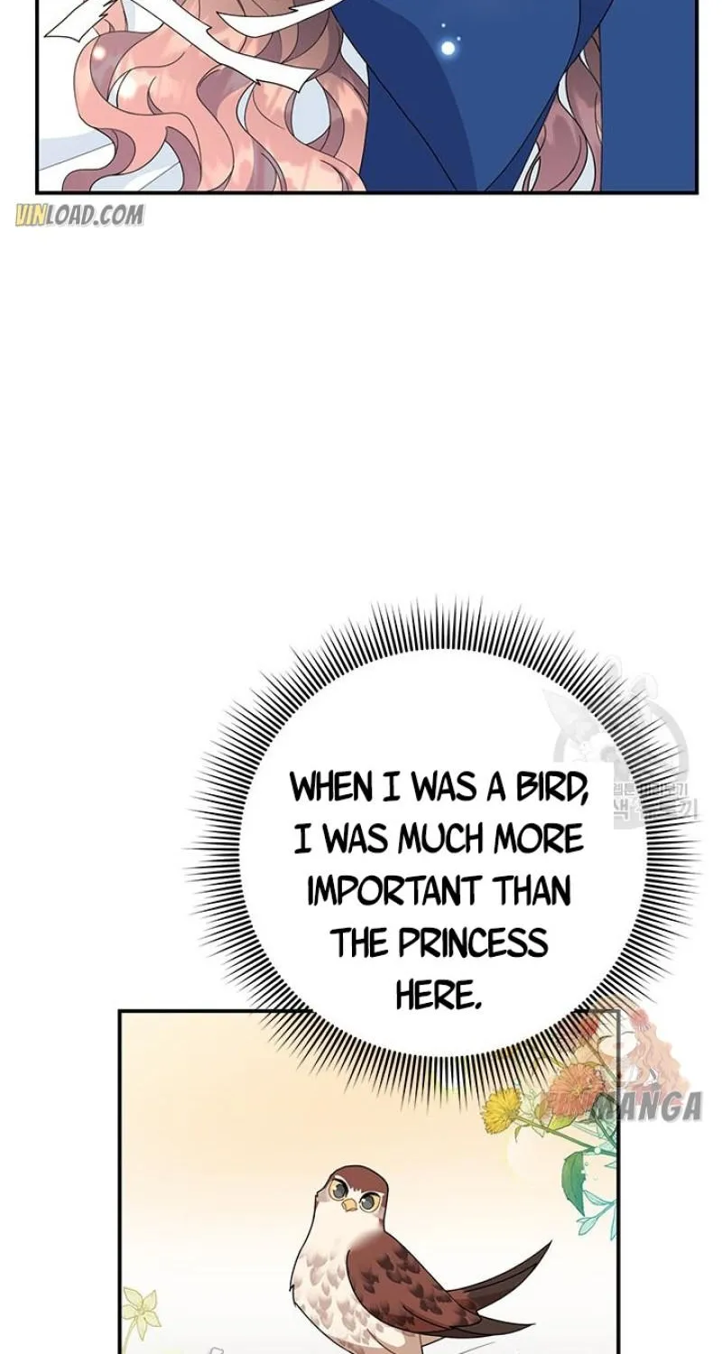 CARRIER FALCON PRINCESS Chapter 46 page 41 - 