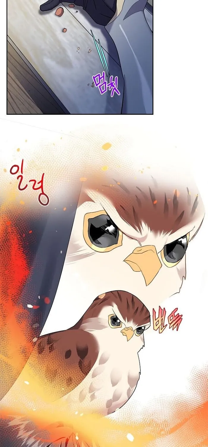 CARRIER FALCON PRINCESS Chapter 5 page 31 - 