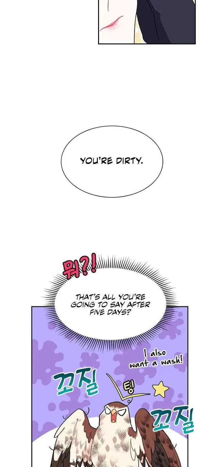 CARRIER FALCON PRINCESS Chapter 5 page 40 - 