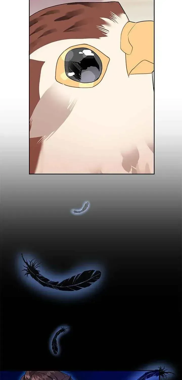 CARRIER FALCON PRINCESS Chapter 6.2 page 58 - 