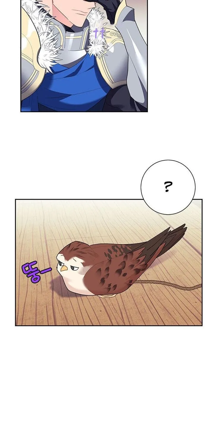 CARRIER FALCON PRINCESS Chapter 6 page 17 - 
