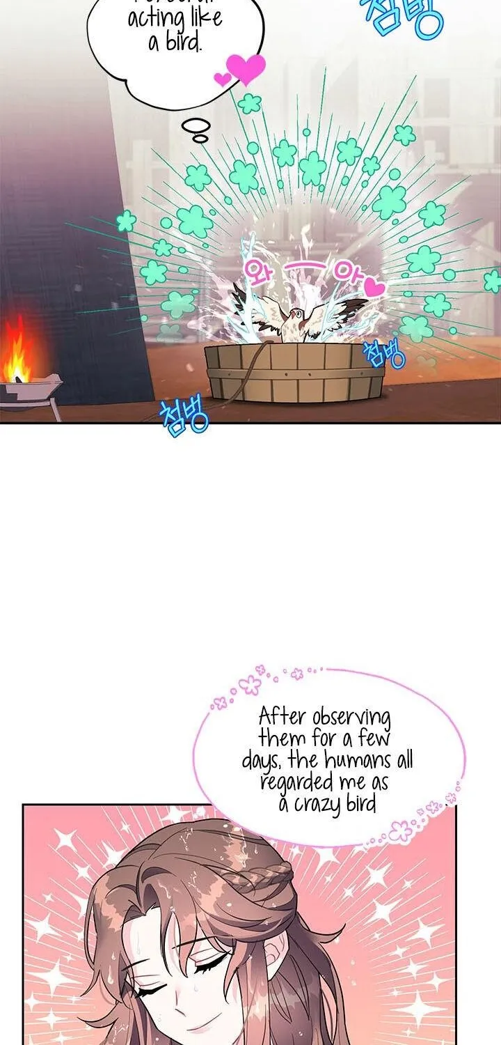 CARRIER FALCON PRINCESS Chapter 6 page 23 - 