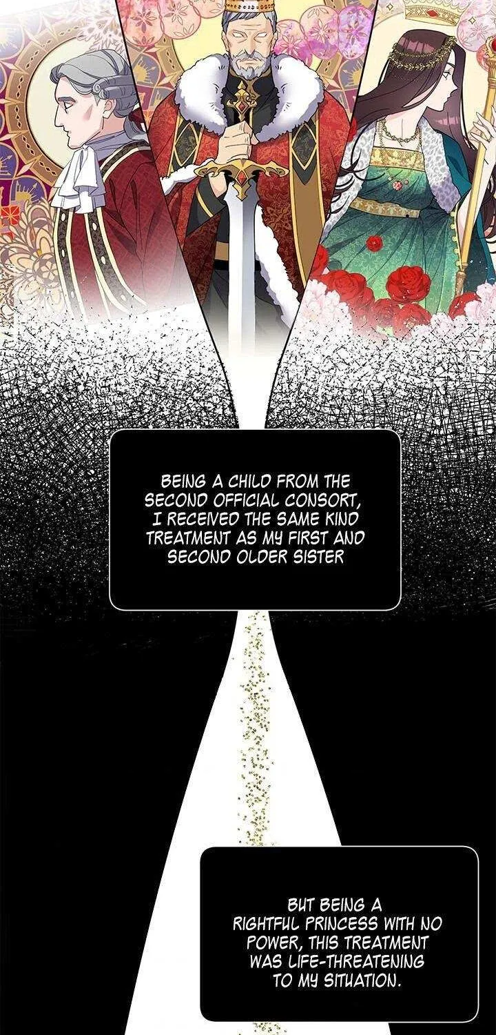 CARRIER FALCON PRINCESS Chapter 6 page 42 - 