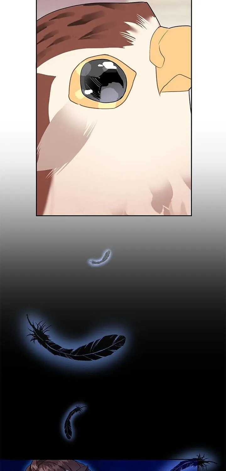 CARRIER FALCON PRINCESS Chapter 6 page 64 - 