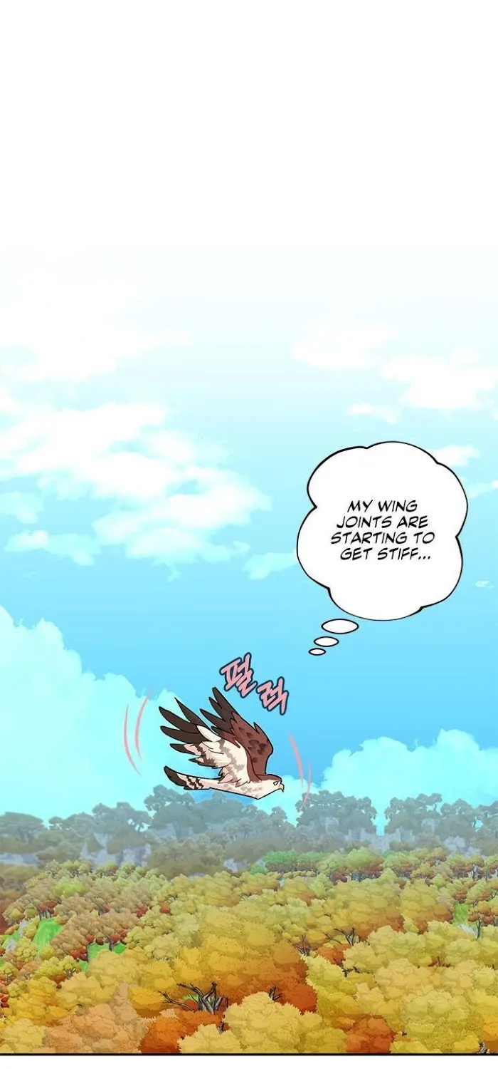 CARRIER FALCON PRINCESS Chapter 7 page 17 - 