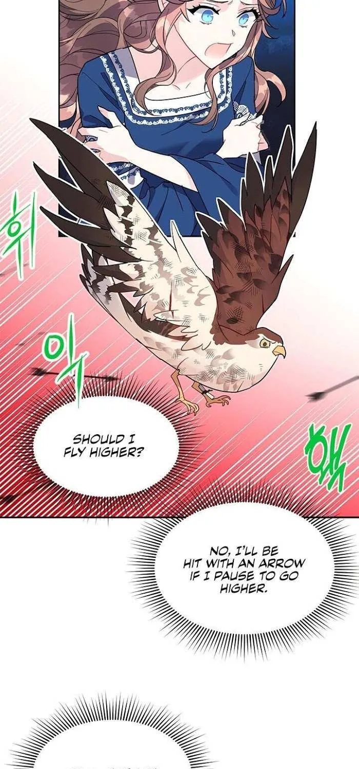 CARRIER FALCON PRINCESS Chapter 7 page 21 - 