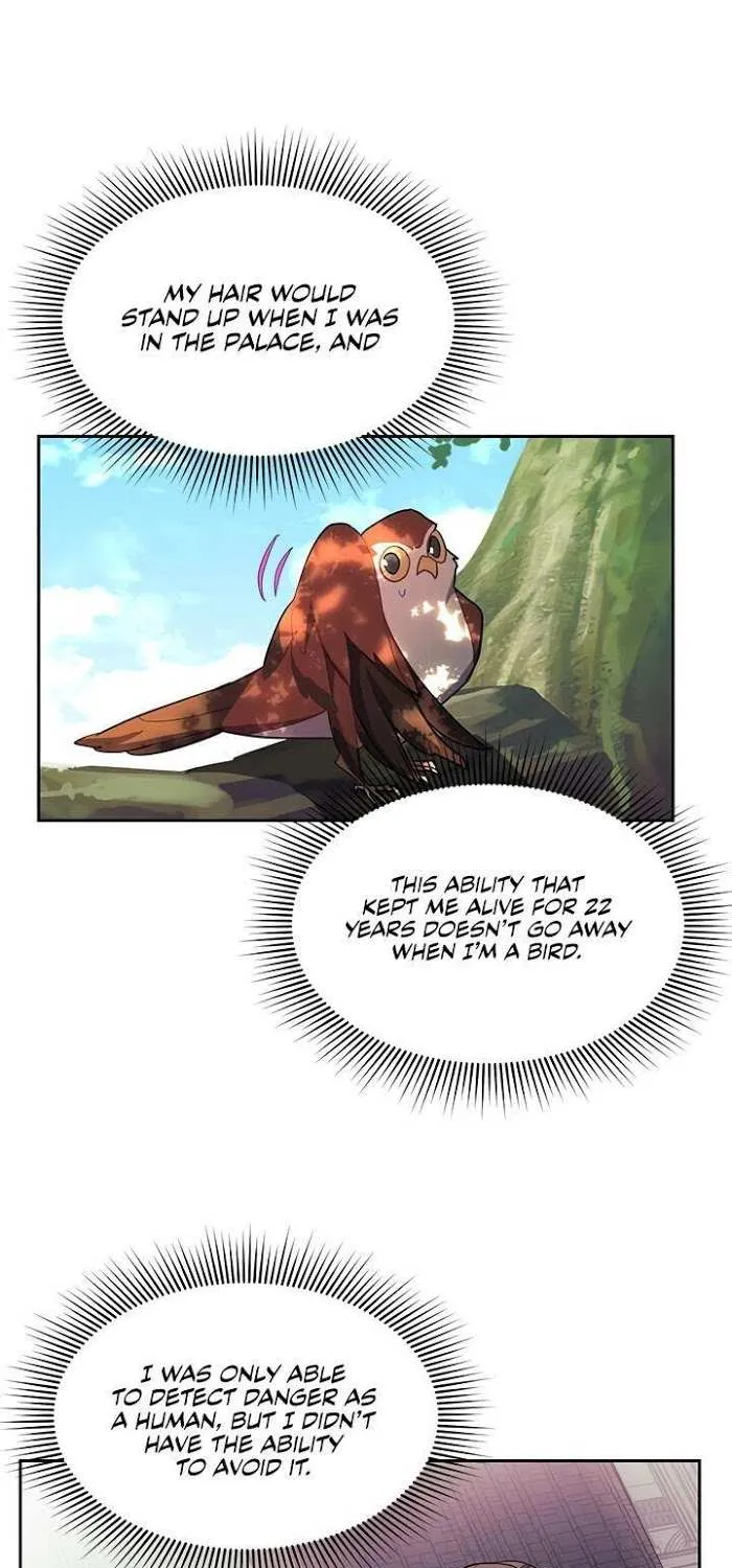CARRIER FALCON PRINCESS Chapter 7 page 28 - 
