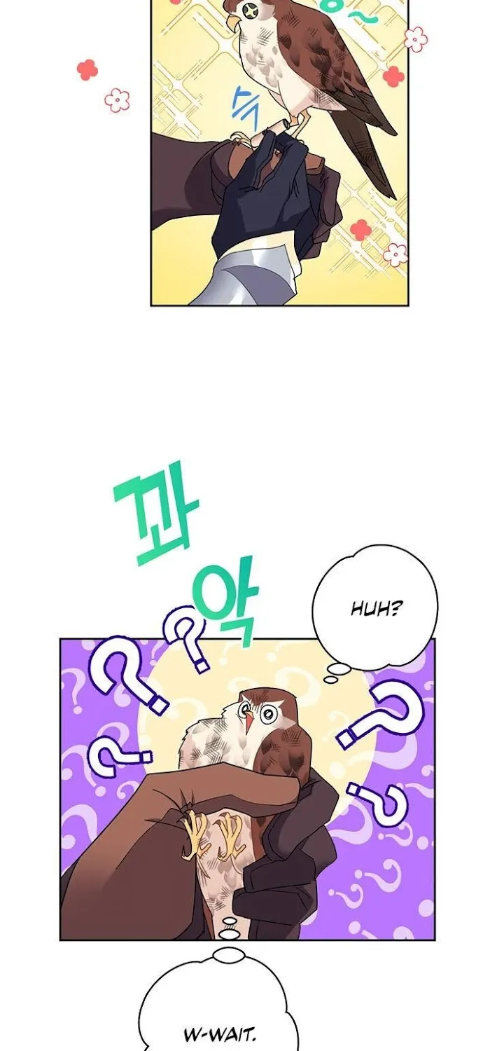 CARRIER FALCON PRINCESS Chapter 7 page 52 - 