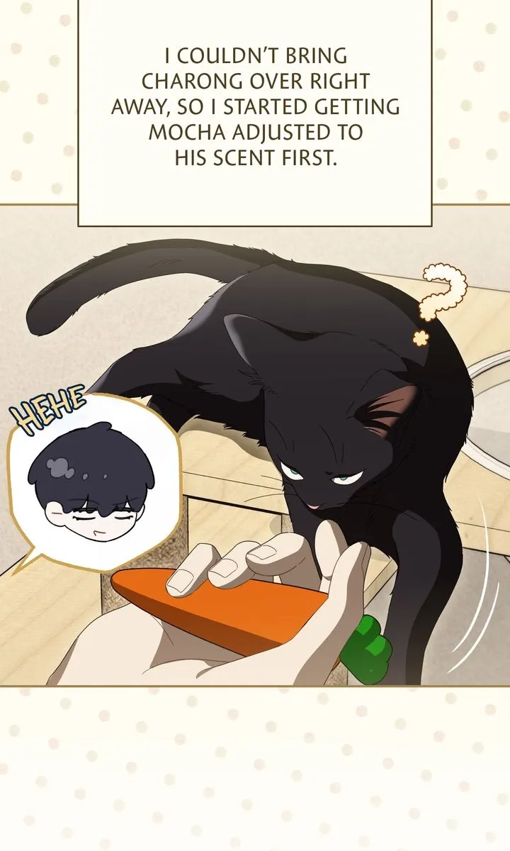 Carrying My n00b Waifu Chapter 42 page 13 - 