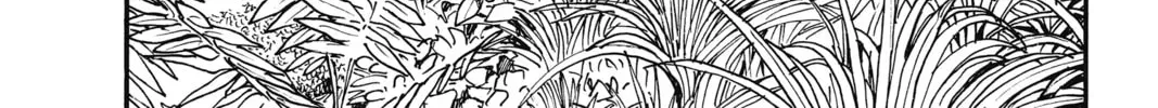 Case Closed Chapter 1.6 page 36 - 