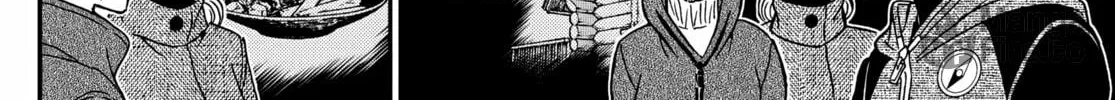 Case Closed Chapter 1139 page 17 - 