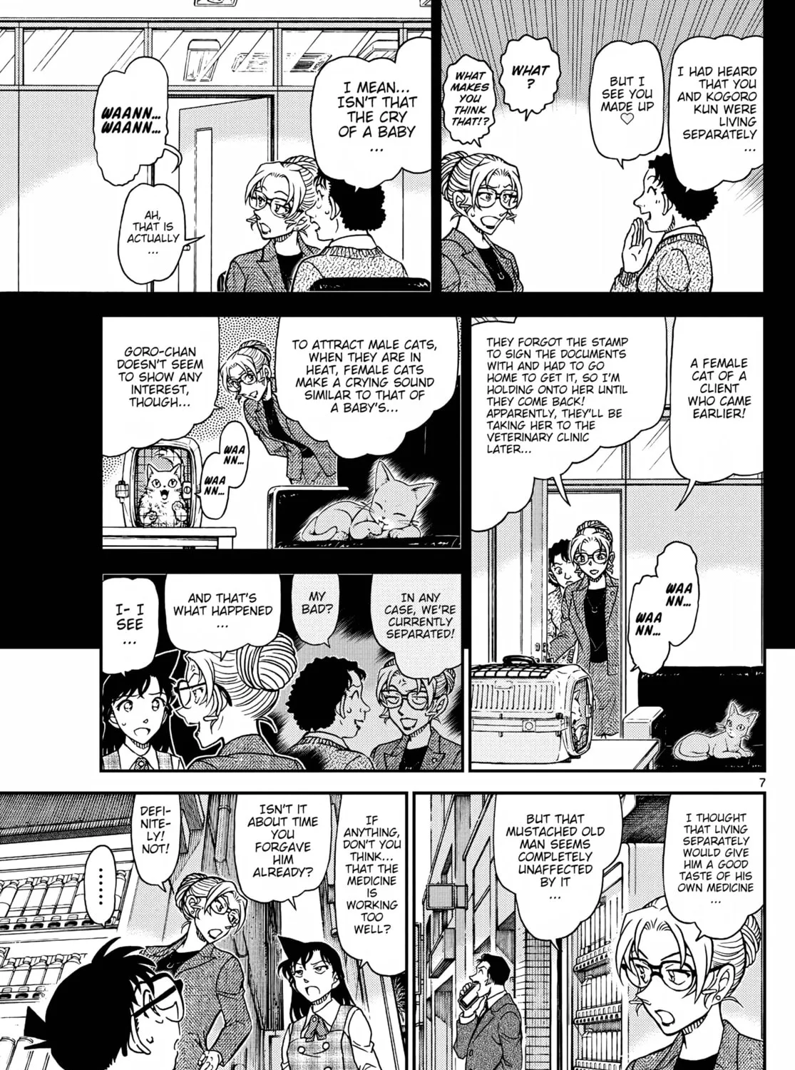 Case Closed Chapter 1141 page 13 - 