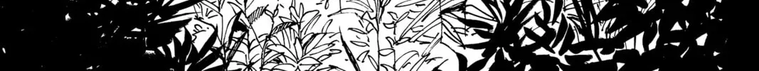 Case Closed Chapter 2.4 page 2 - 