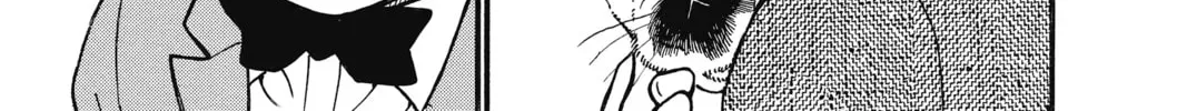 Case Closed Chapter 2.7 page 10 - 