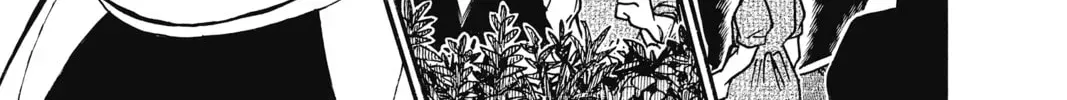 Case Closed Chapter 3.6 page 22 - 