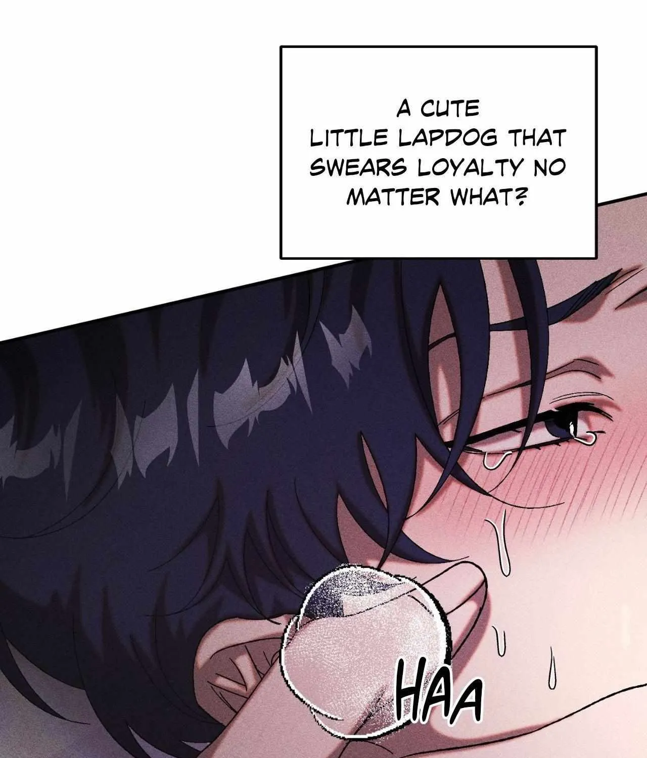 Cash or Credit Chapter 60 page 41 - 
