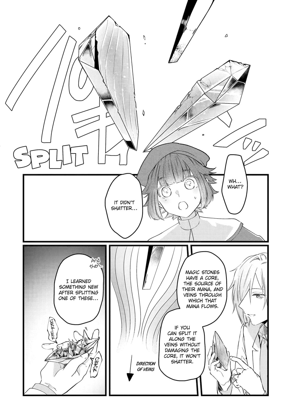 Cast-off Magic Tool Researcher is Actually an S-rank Mage Chapter 8.3 page 1 - 
