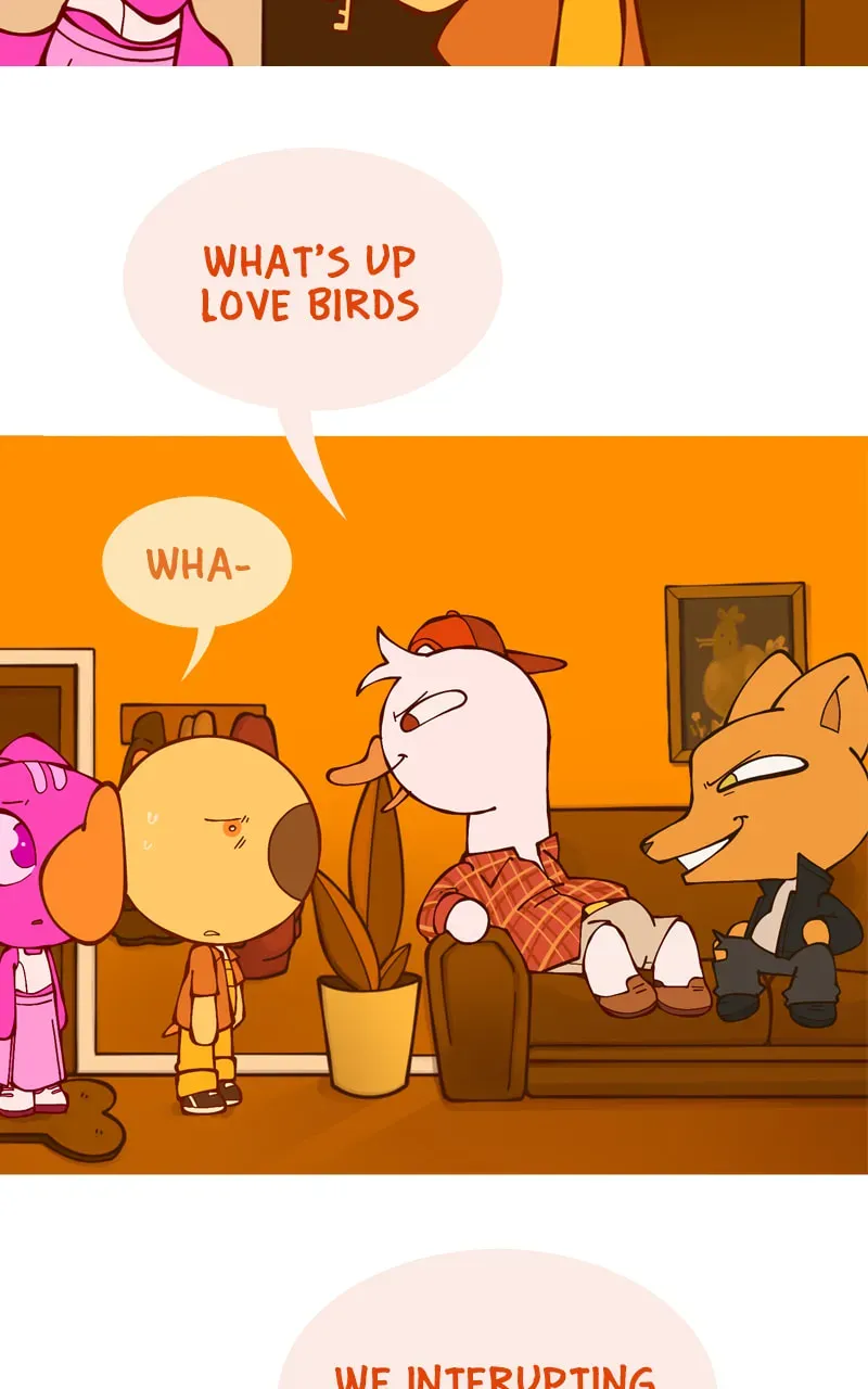 Cat and Dog Chapter 72 page 6 - 