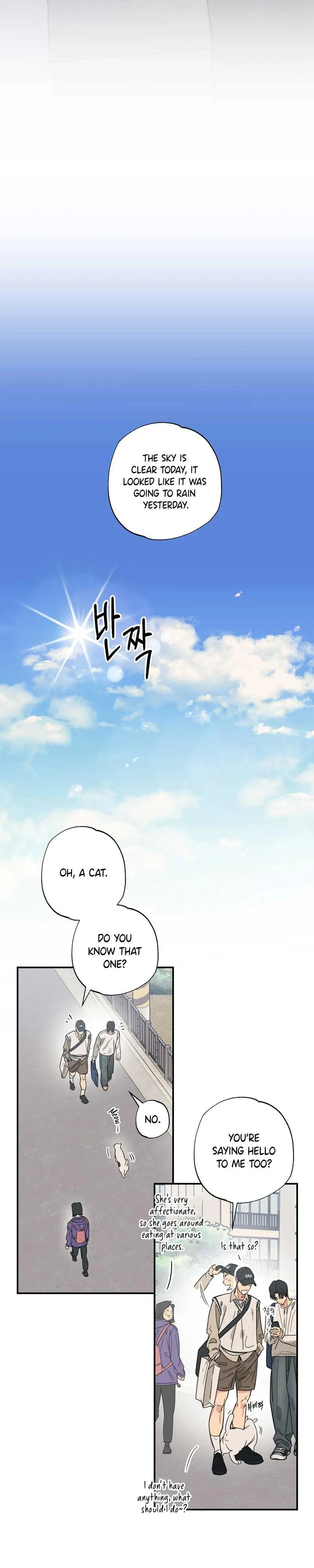 Cat Choice Chapter 11 page 17 - 