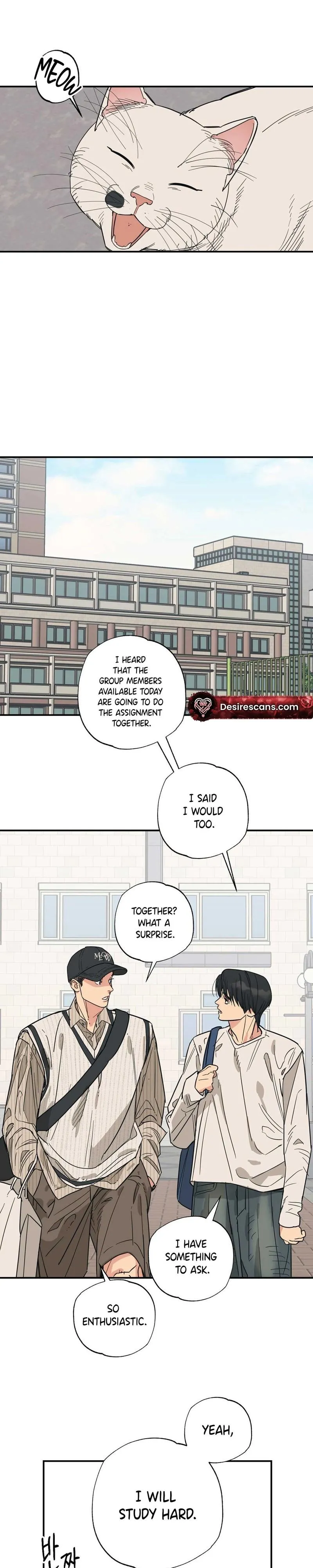 Cat Choice Chapter 11 page 18 - 