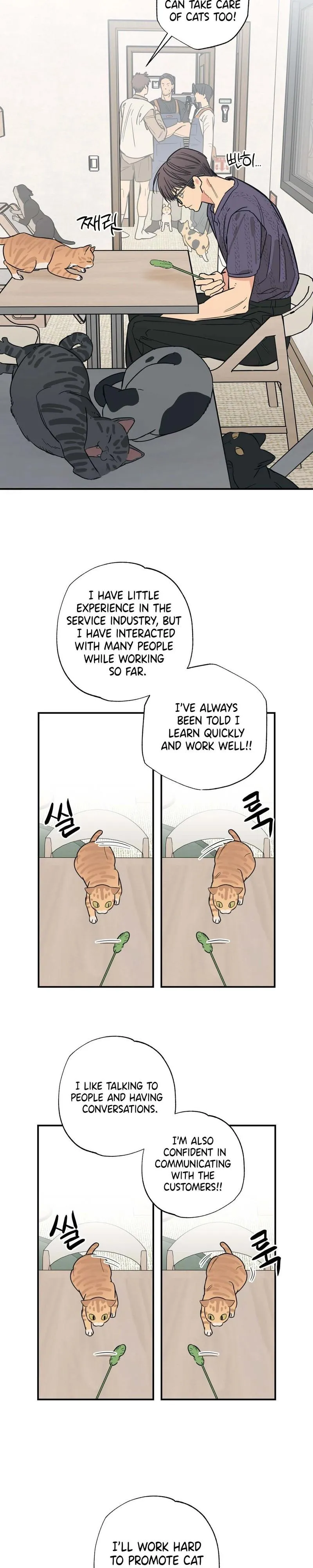 Cat Choice Chapter 12 page 12 - 