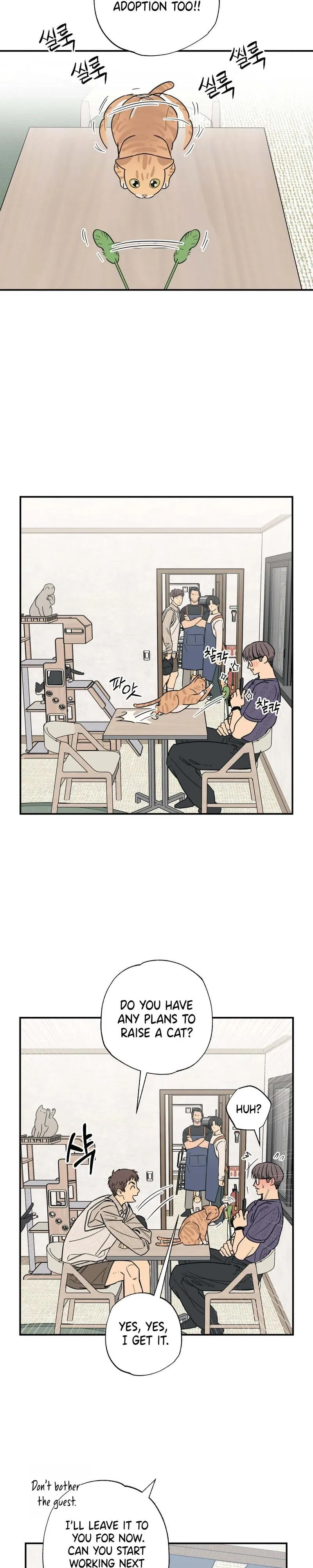 Cat Choice Chapter 12 page 13 - 