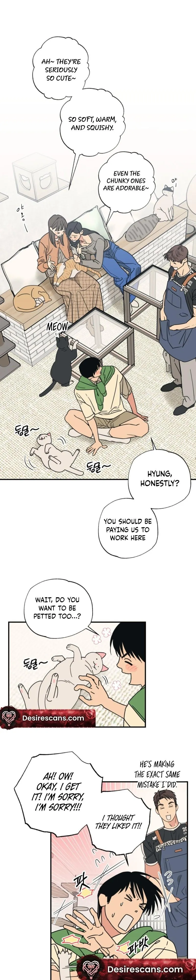 Cat Choice Chapter 14 page 3 - 