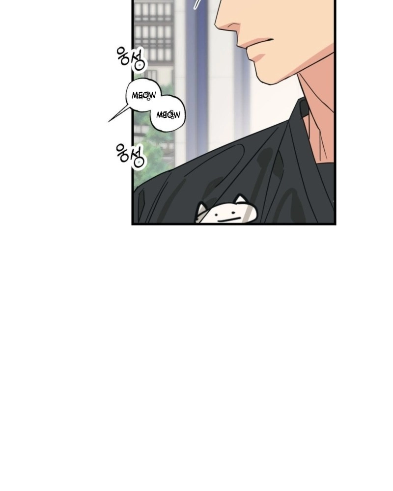 Cat Choice Chapter 16 page 59 - 