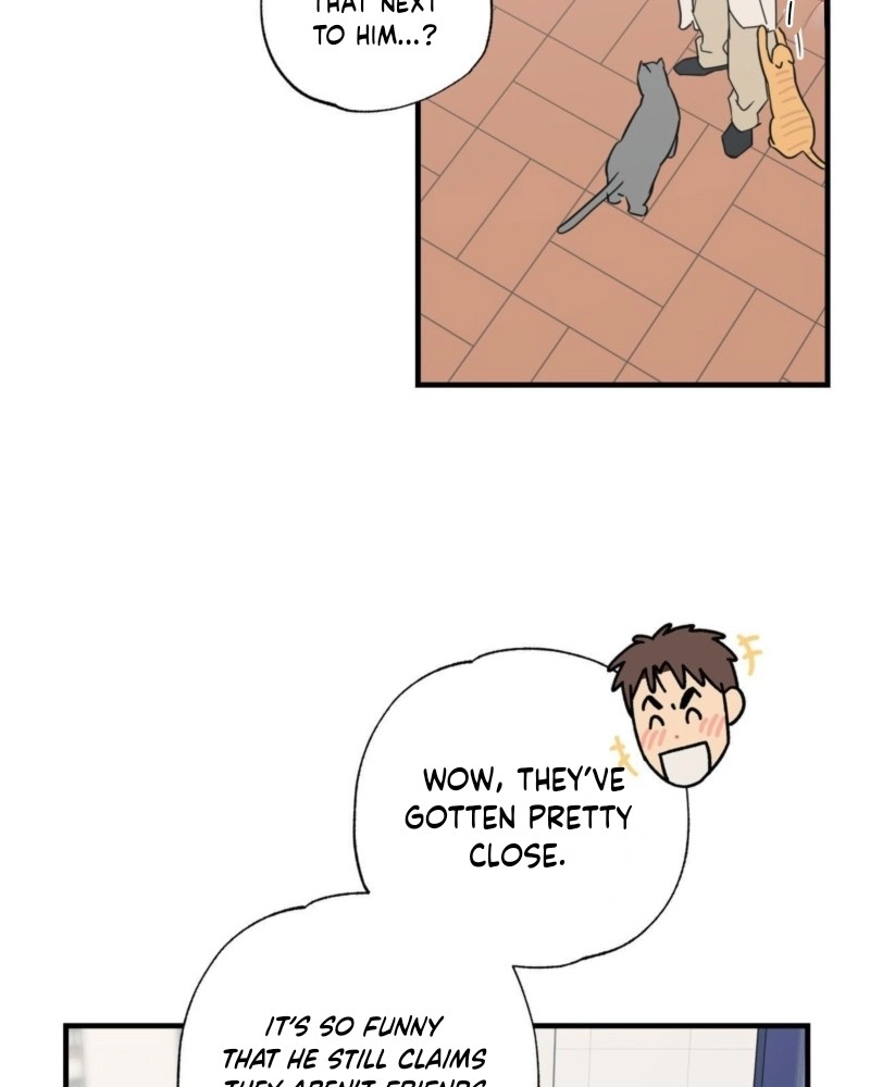 Cat Choice Chapter 16 page 61 - 