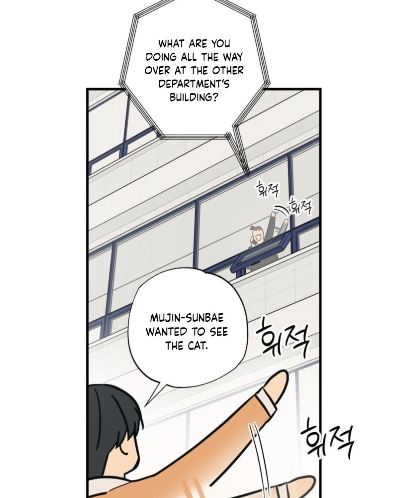 Cat Choice Chapter 16 page 65 - 