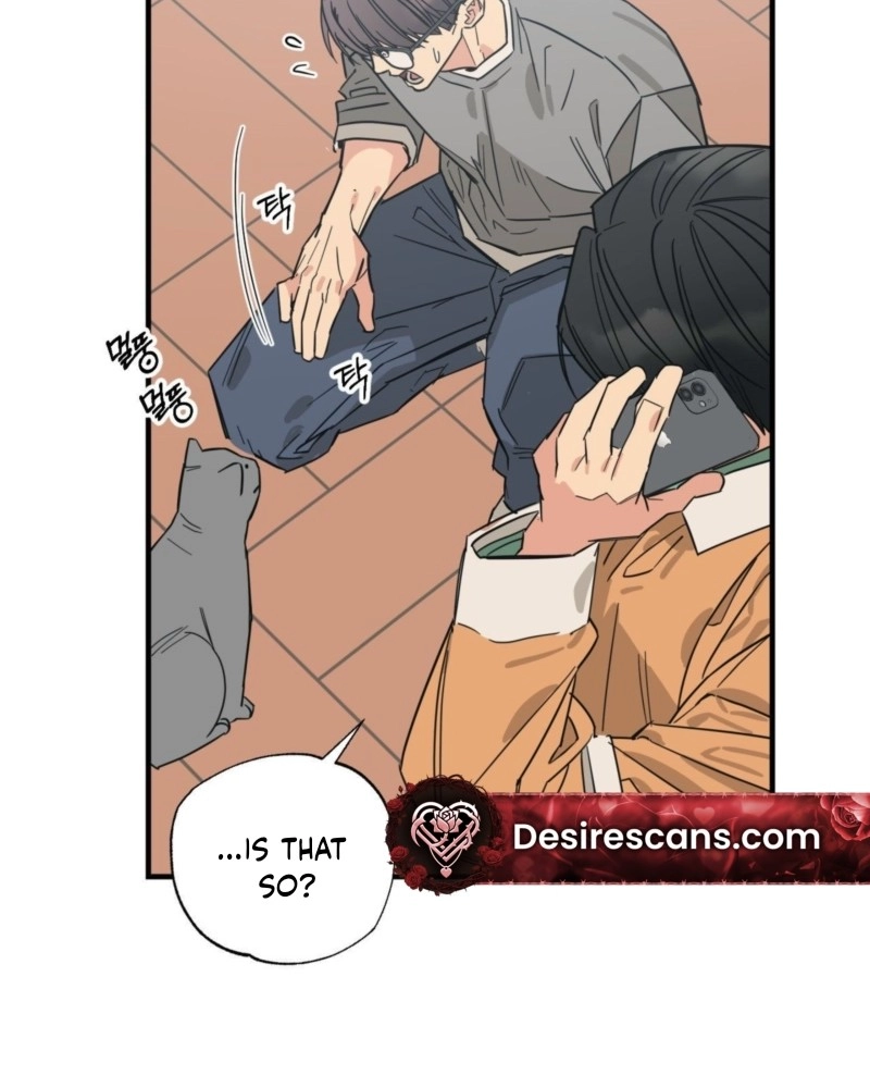 Cat Choice Chapter 16 page 69 - 