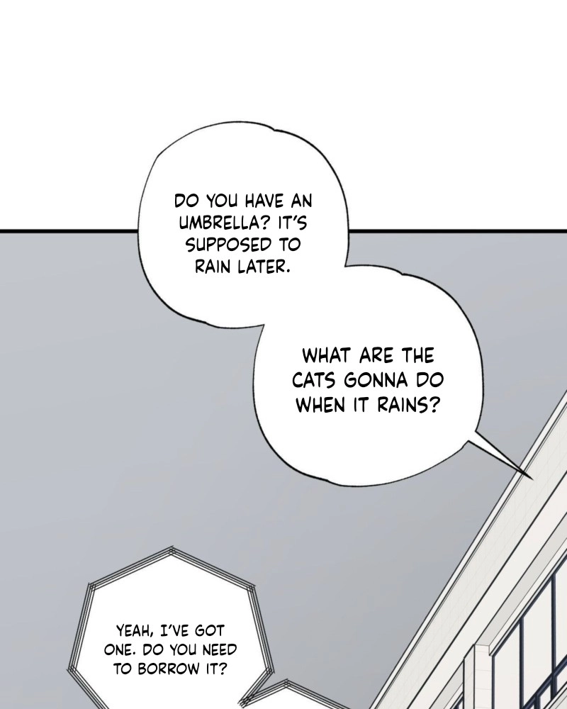 Cat Choice Chapter 16 page 70 - 