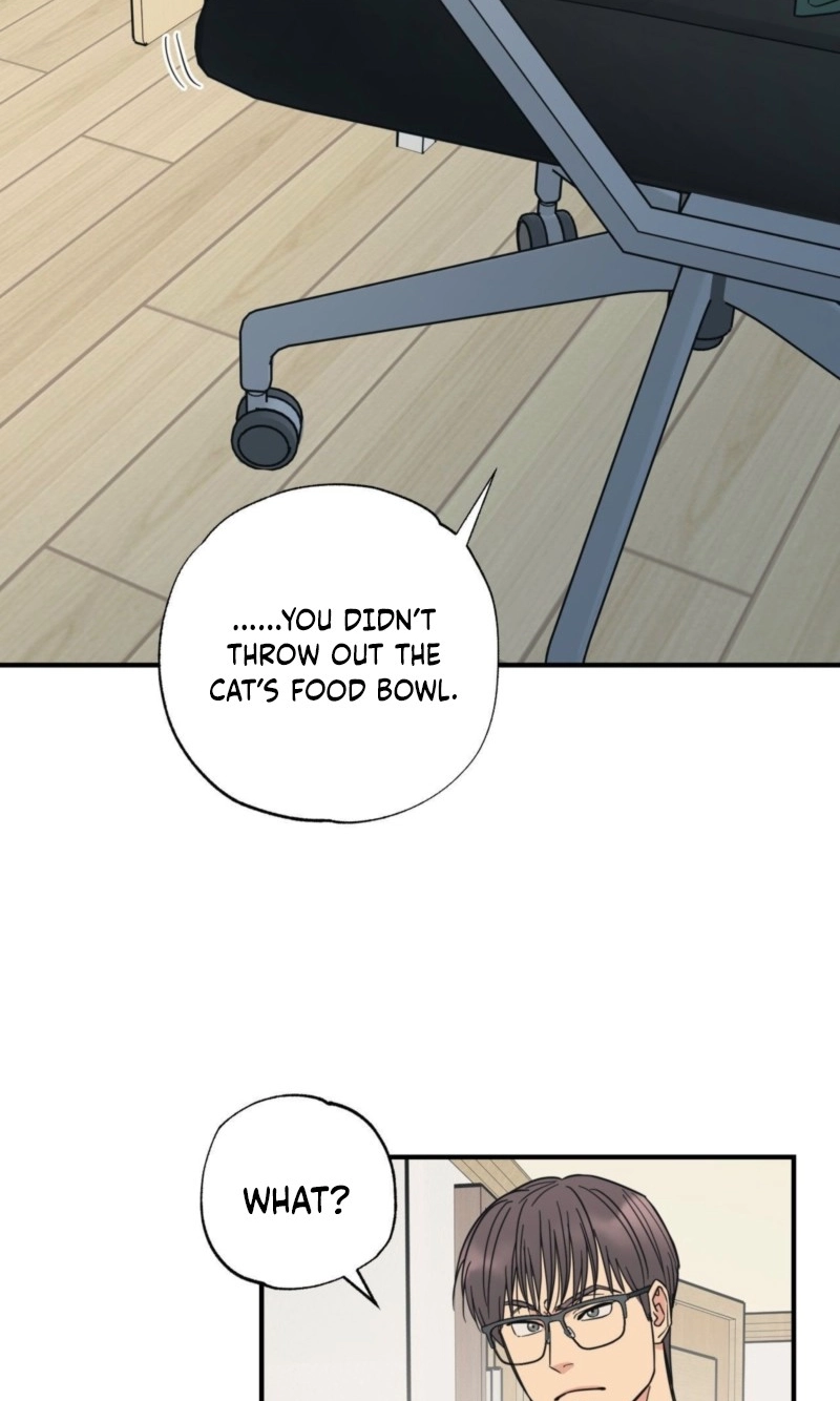Cat Choice Chapter 17 page 17 - 