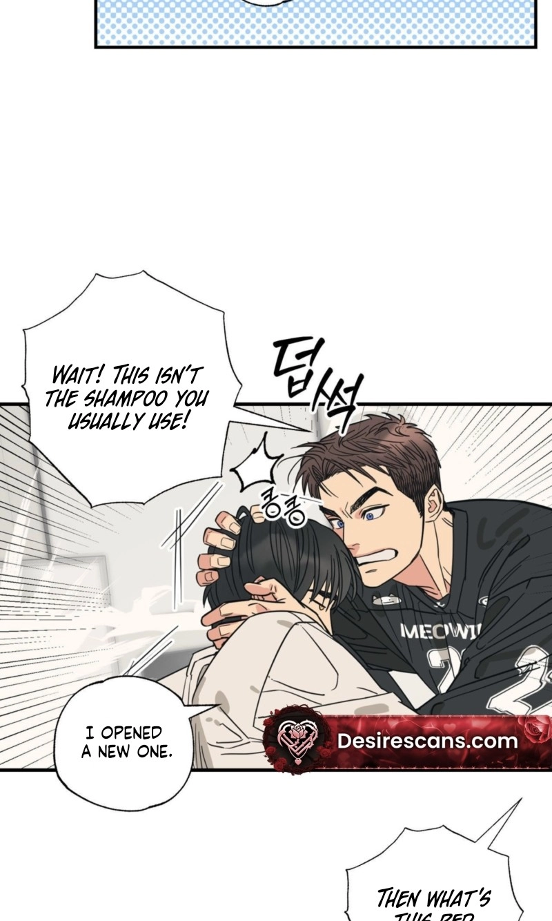 Cat Choice Chapter 17 page 46 - 
