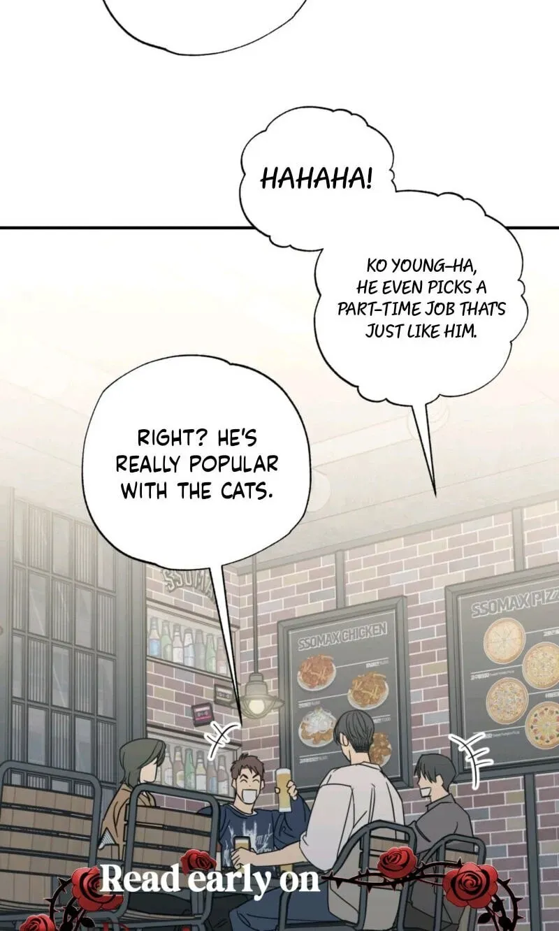 Cat Choice Chapter 18 page 24 - 