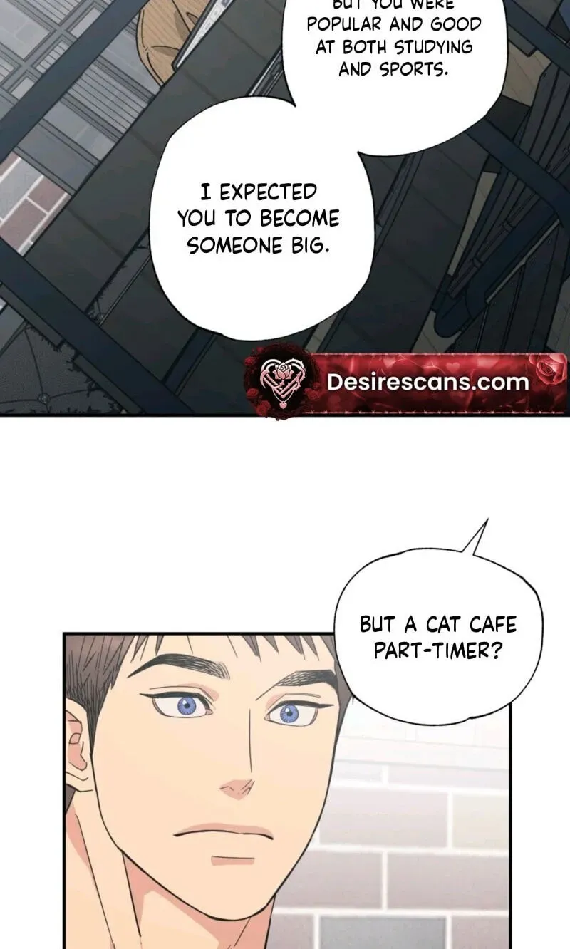 Cat Choice Chapter 18 page 27 - 